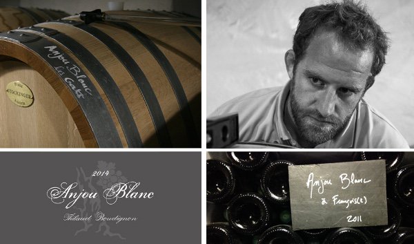 KogodWine's tweet photo. Thibaud Boudignon: Anjou & Savennières Reimagined - https://t.co/yNNY8K5zcv #WinesOfPlace #Boudignon #CheninBlanc https://t.co/cjV548K304