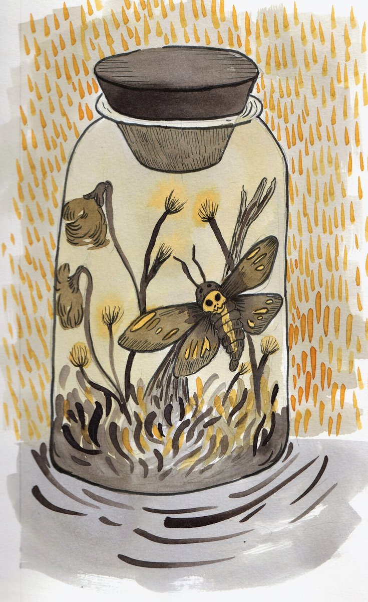 battodraws's tweet photo. #drawtober2018 day 14! #delicatedecay of a #skullmoth corpse in a jar...🦇🖤💀 No worries tho, she had a very funfilling Life,this its just her pretty grave.@drawtober
#bug #centipede #inktober2018 #illustration  #halloween #drawloween #haunted  #illustration #art #drawing https://t.co/zgyaDo5pj8
