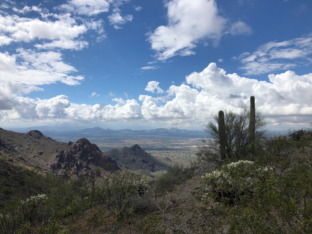 Best run in Arizona weather. Stay strong, stay fit