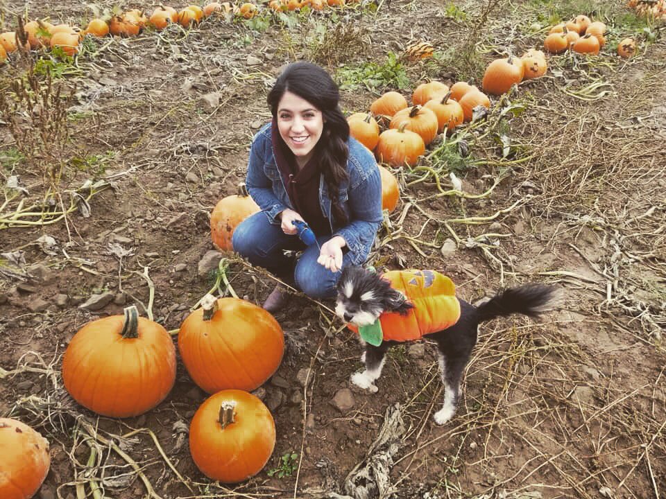 fallon_jetha's tweet photo. My little pumpkin https://t.co/c66fisKNAd