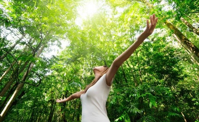 Catherine Knight on Twitter: "Can you help? The connection between nature & wellbeing https://t.co/f04ox1B0yf… "