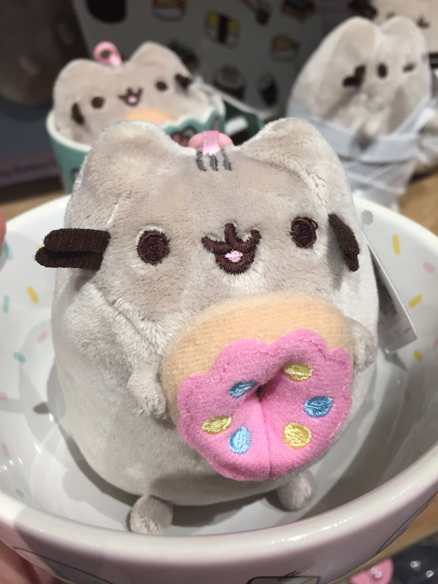 pretty pusheen plush