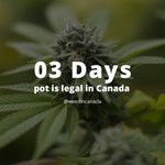 Image for the Tweet beginning: 3 days pot is legal