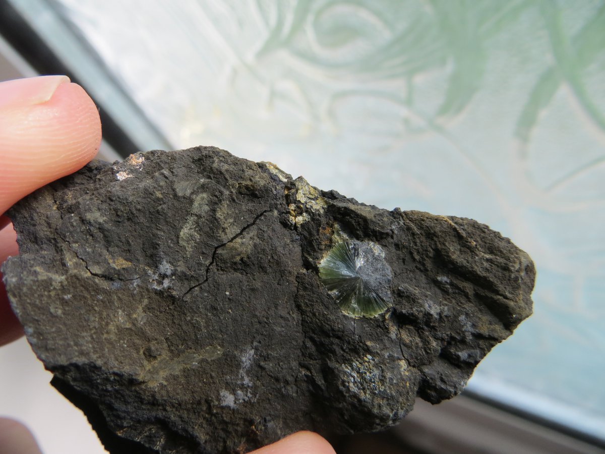 kerry_geo's tweet photo. Finally in my collection of Irish minerals 😍Beautiful mineral called "Wavellite".
#wavellite #rare #Irishminerals #collecting #Ballybunion #BromoreCliffs #Kerry #WildAtlanticWay https://t.co/Lhxx2m6AO7