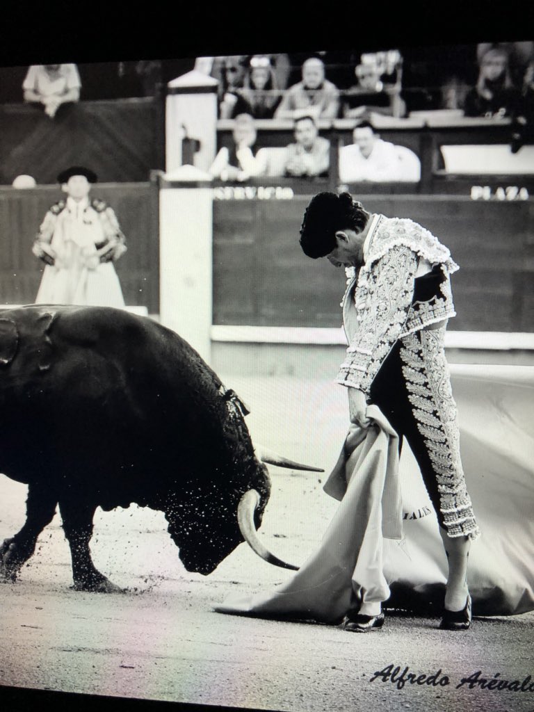 Resultado de imagen de alfredo arevalo fotografo