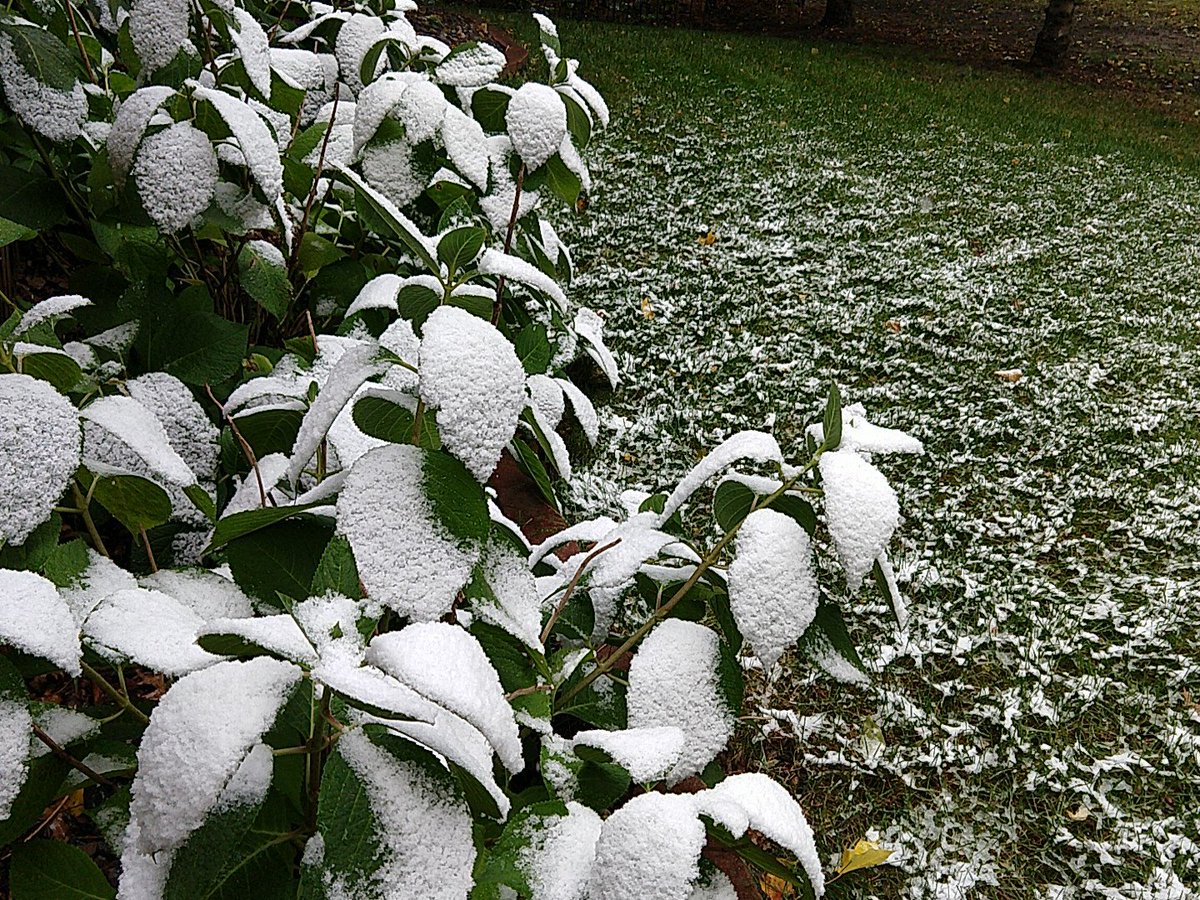 BlaineNordic's tweet image. Looks like the start of a good season! #joinNordic