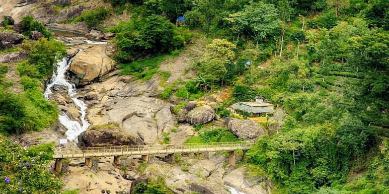 subin_pr's tweet photo. Natural beauty of #Munnar.. 
#studynature
#staynature
#stay #closeto #nature.... 
#Welcometo #God's #owncountry..... https://t.co/2BDqYdozW8