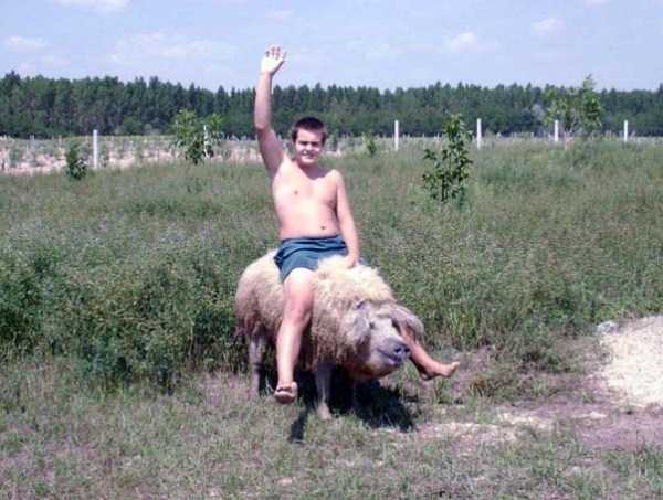 SoviteF's tweet image. When you have a bit too much to drink...