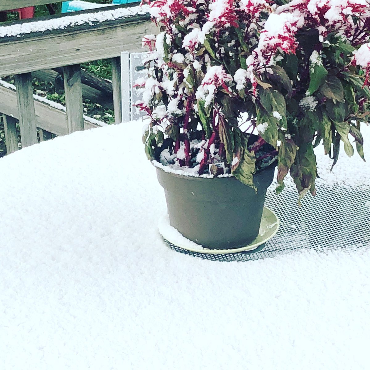 Jacques_Karinna's tweet photo. Too early for #snow #october #minnesota https://t.co/kxeXupMfu3