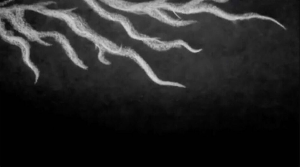 IMRAM_2018's tweet photo. IMRAM 2018
Cló Draíochta Teaser
Fred Kweku Forson/Gabriel Rosenstock

Jonathan Barrett

#IMRAM #IMRAM2018 #ClóDraíochta #GabrielRosenstock https://t.co/t3FetVs3KR