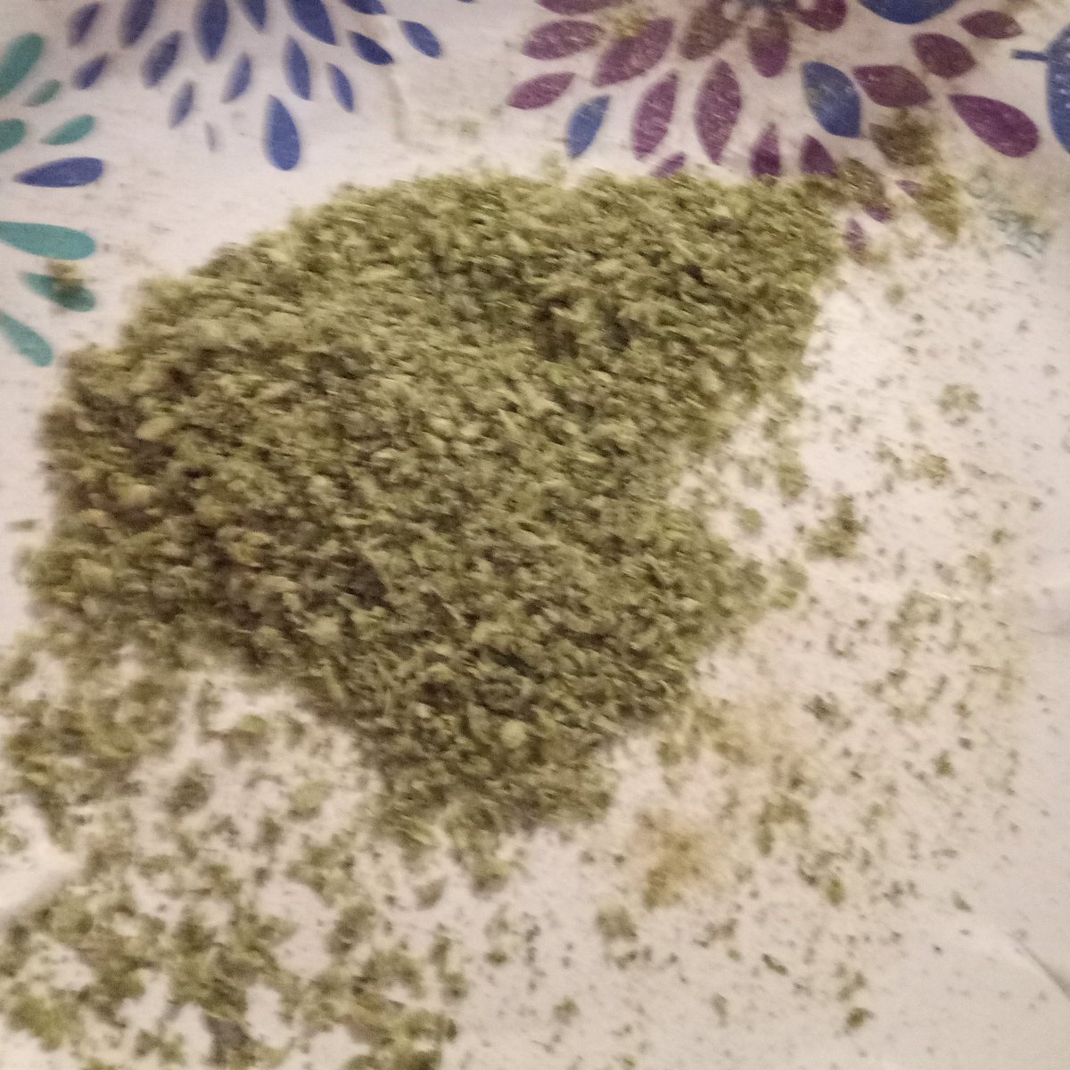 jaygatties's tweet photo. This is my "coffee" #crmla #YesOn1MI #weed #marijuana #ganja #legalizeit #norml #minorml #juggalos #dagga #sourd #SourDiesel #Election2018 https://t.co/cXUVyDu8yZ