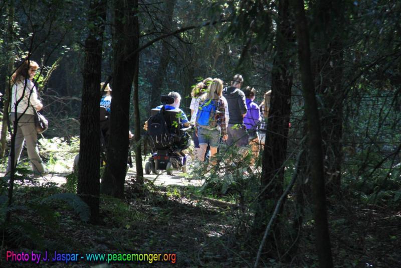 AdventuresStaff's tweet photo. The Henry Cowell Redwood walk is next Sunday on October 21st. Join us as we stroll and roll with an experienced docent who will lead us through the Redwoods Grove trail, a smooth 1-mile loop that is fully accessible. #savetheredwoods #SharedAdventures https://t.co/A9cjth7LZ0 https://t.co/YyumgXMA0Y