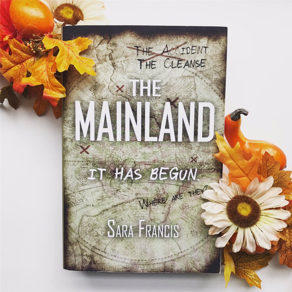 sfrancis_author's tweet photo. It's almost here!!! THE MAINLAND is soon to be released. 😱 If you want a signed copy, it's available for pre order! DM me for details. 😉
-
 #terrantribe #booktrilogy #bookrelease #amreading #readersofinstagram #bookpic #bookstagram #bookparty #creativewriting #bookhoarder https://t.co/pPuqeheyOs