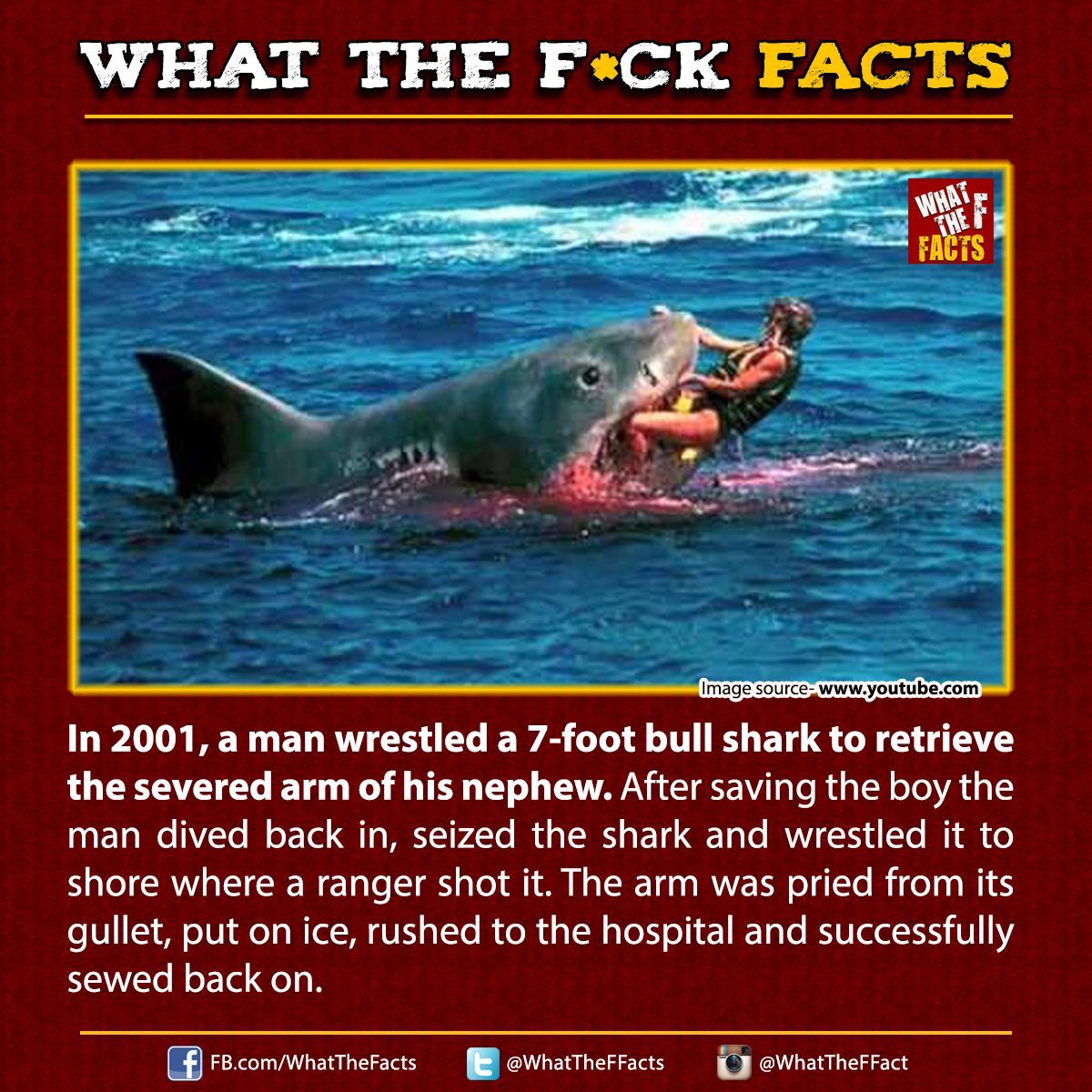 What The F*** Facts (@whattheffacts) on Twitter photo 