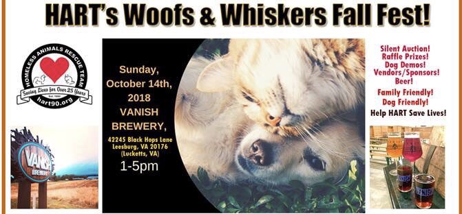 Bring all the little two or four legged loved ones out today! #sunday #dogsoftwitter #CatsOfTwitter #petsarefamily #vanishbrewery