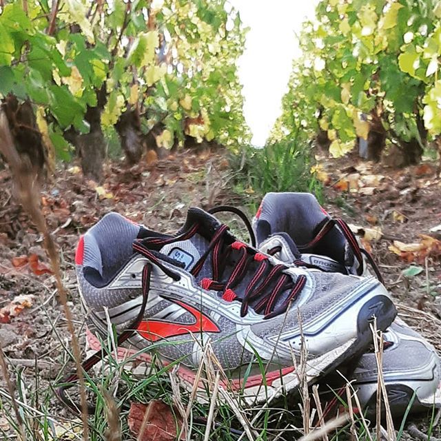 eBaiCharles's tweet photo. Run in #Champagne !
#MaPhotoduJour et mon #entrainement du week-end avant #runinreims dimanche prochain 😊
...
#Chaussures #course #running dans #vignoble #vigne #epernay #valleedelamarne #visitepernay
#igersreims #reims #runinreims2018
....
#sneakers #runningshoes #brooksrun… https://t.co/F7izhcf7GF