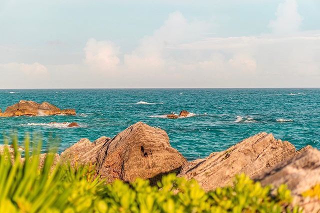 alexistriana's tweet photo. Glimpse. #bermuda #thereefs #gotobermuda #bermudatriangle #bermudabeach #bermudalife #bermudashorts #bermudas #wordpress #southampton #hamilton #goodlight #vacation #travel_bermuda #bermudablues #earth_shotz #sonyalpha #sonya6000 #destinationbermuda #liv⦠https://t.co/3Ayt64UkAk https://t.co/8YUtbOqyXh