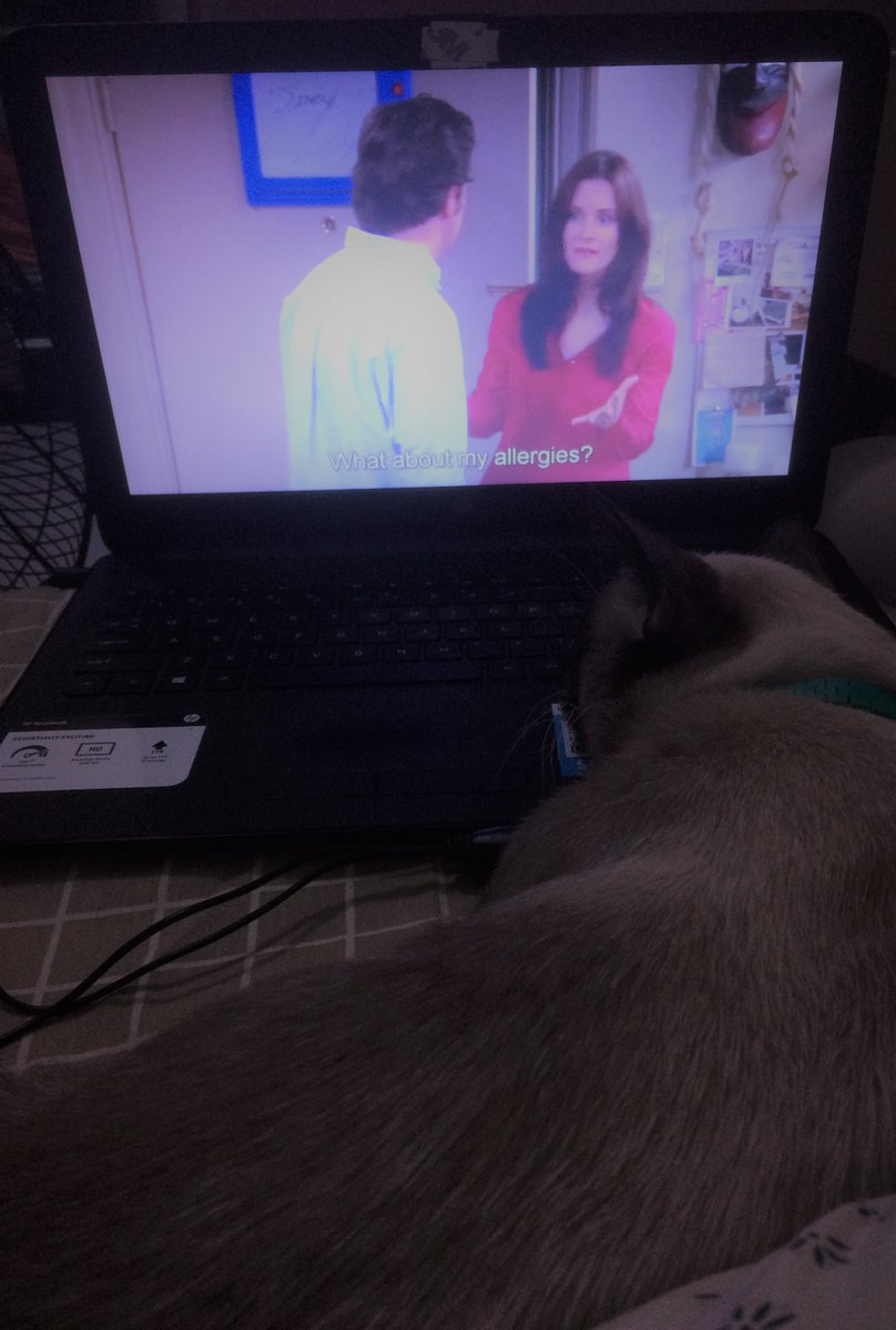 RazzelKim's tweet photo. Marbles is also a fan 💗 https://t.co/Qw94GoattE