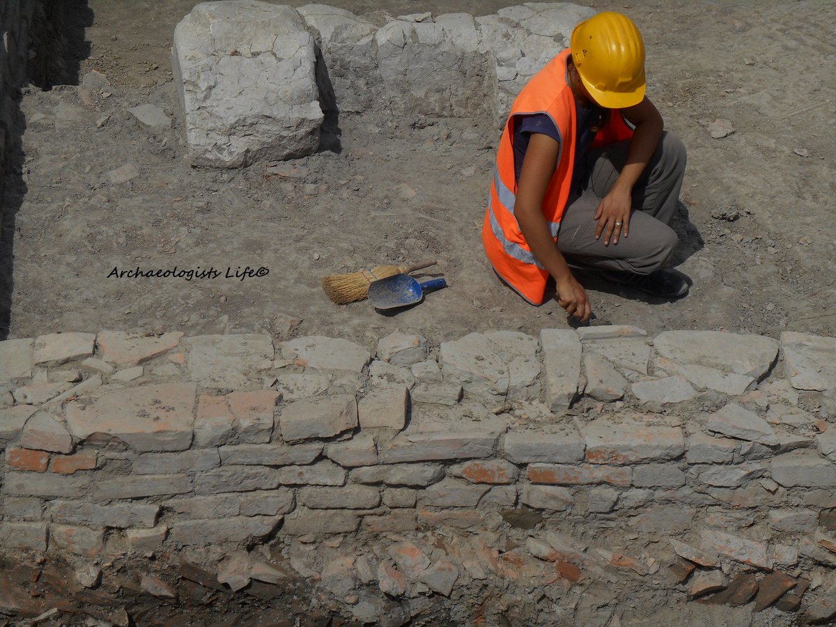 Archaeologists Life tweet media