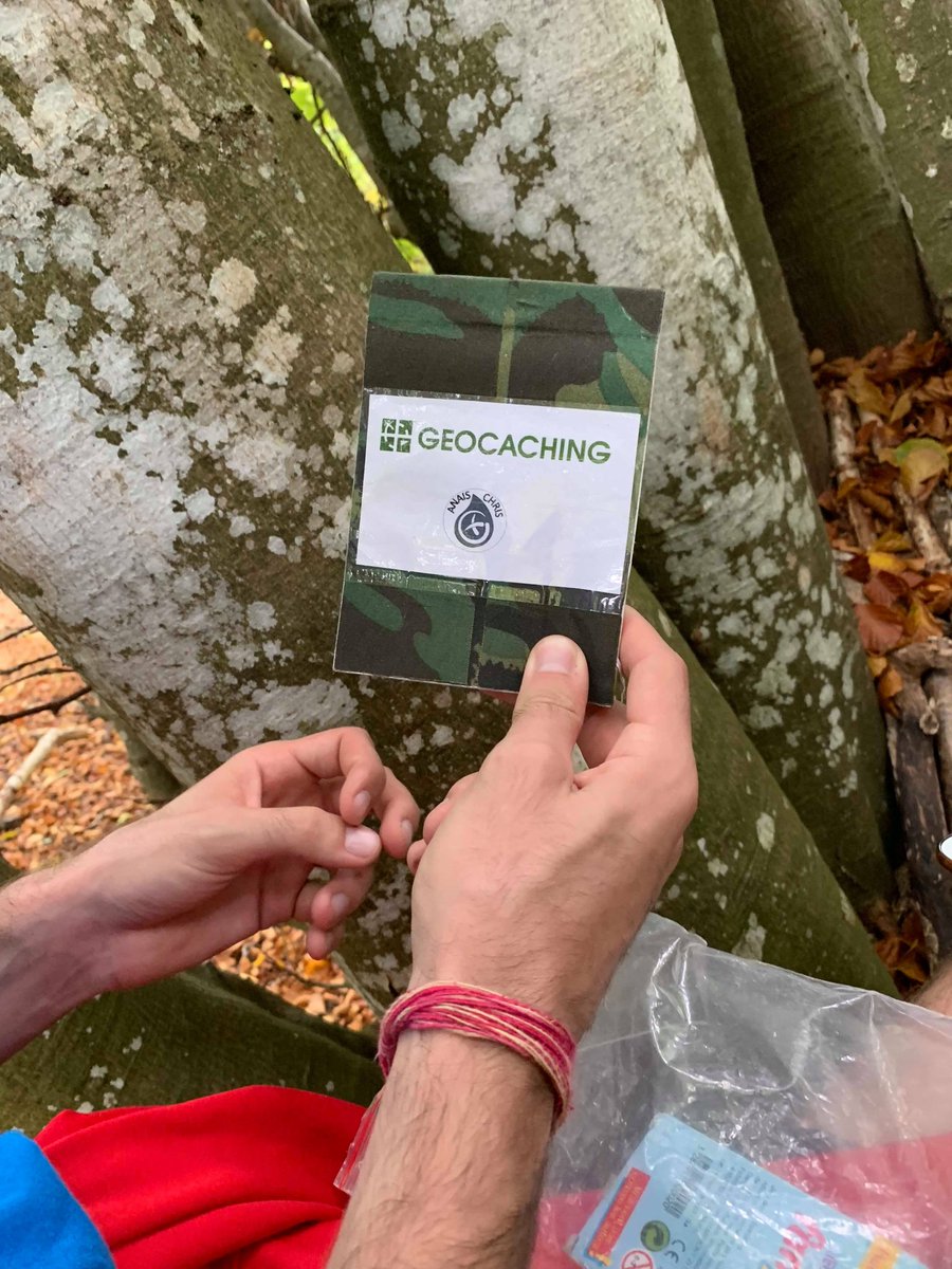 FormTraining's tweet photo. □EVENEMENT□
📸Retour en image sur la course d'orientation @GoGeocaching sur les pentes du #PuyDeDôme.
🔎Trois heures de quêtes, trois heures de plaisir à arpenter les chemins de ce monument inscrit à @UNESCO
🙏Merci à l'ensemble des participants!
#TeamFT #FormuleForme https://t.co/zT3qMSIdVY