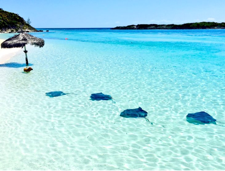 TryTheSky's tweet photo. Flying soon to the beautiful BAHAMAS 🏝💙🐠 

Got any tips on where to stay and things to do ?

#Travel #Caribbean #Bahamas #BeachPlease https://t.co/GjOaNhfpfq