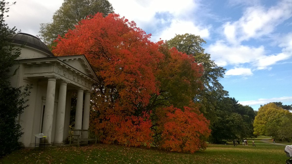 Harvey Stephens tweet media