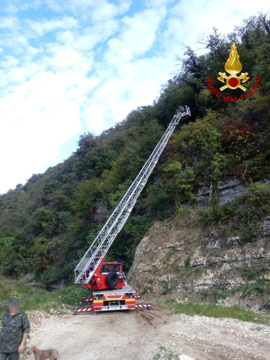 vvfveneto's tweet photo. #14ottobre #Castelgomberto(VI), #cane da #caccia rincorre una lepre in una zona impervia sulle colline, risalendo una parete quasi verticale di oltre 20 metri rimanendo però bloccato in alto su un masso: salvato dai #vigilidelfuoco con l'#autoscala #salvataggiquotidiani https://t.co/mPouACONGP