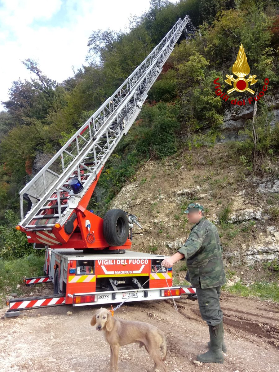 vvfveneto's tweet photo. #14ottobre #Castelgomberto(VI), #cane da #caccia rincorre una lepre in una zona impervia sulle colline, risalendo una parete quasi verticale di oltre 20 metri rimanendo però bloccato in alto su un masso: salvato dai #vigilidelfuoco con l'#autoscala #salvataggiquotidiani https://t.co/mPouACONGP