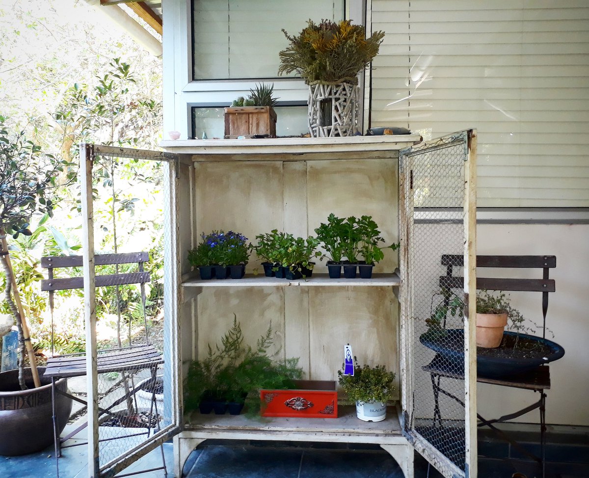 JoeCatterick's tweet photo. Some homely love for our patio. https://t.co/BSTe3MZa0f