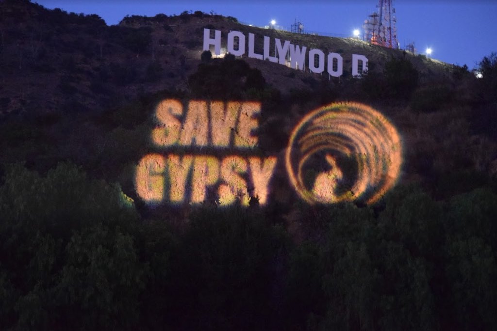 christi88158108's tweet photo. @NetflixLifee #Gypsy is every day important and I love to watching #Jeaney 
#saveGypsy #GypsyFanmatters #Gypsyseason2 https://t.co/ojGe6iIRqh