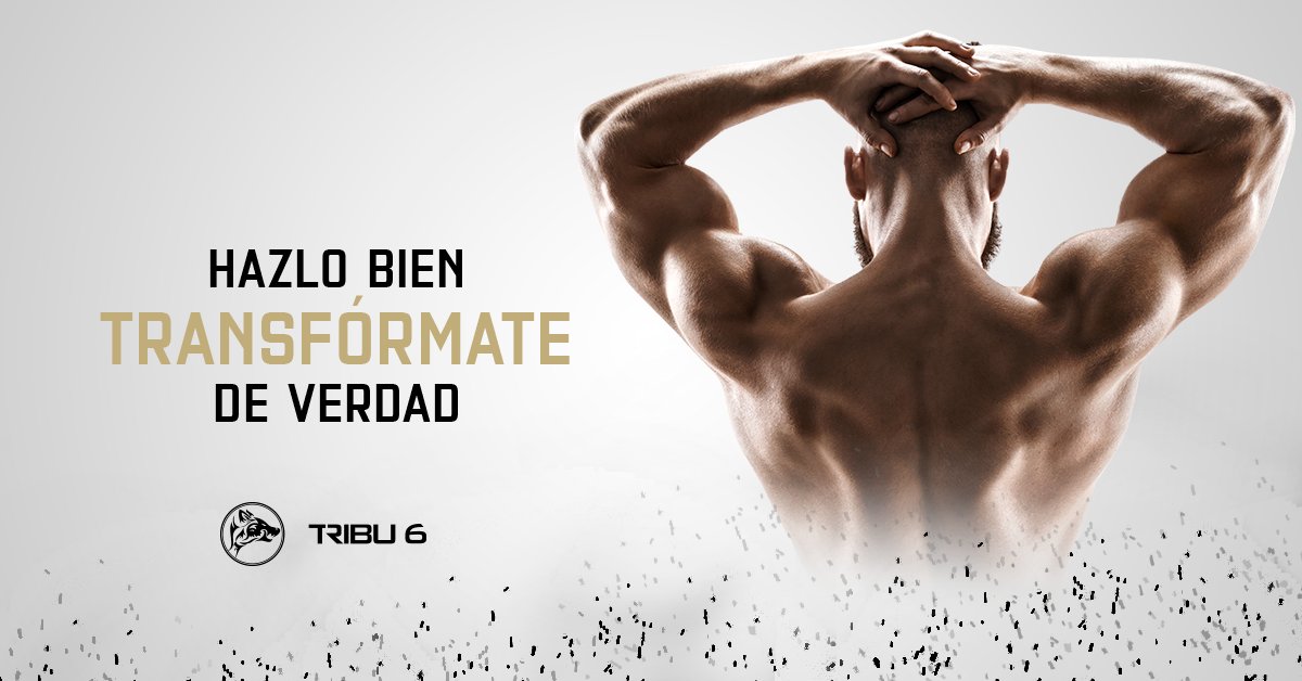 Tribu6Col's tweet photo. Transforma tu cuerpo -y tu mente- de la mano de expertos, por eso contamos con médicos nutricionistas y un staff a tu disposición para que adaptes tu alimentación a tus necesidades.
Sede Calle 95: https://t.co/Va8sq8u0qN  Sede Chía: https://t.co/CtqVPifNaH https://t.co/5Drr9EzjjD