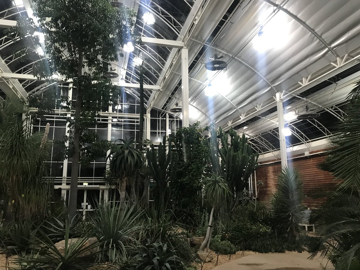 Scott Taylor tweet media