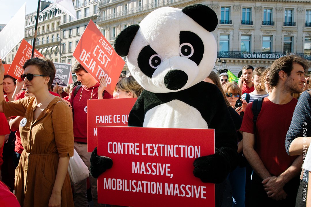 WWFFrance's tweet photo. Nous étions des milliers hier à battre le pavé pour le #climat ! Merci à tou·te·s !
#IlEstEncoreTemps de changer les choses, continuons à nous mobiliser ✊ #MarchePourLeClimat https://t.co/mSdigYmrQ9