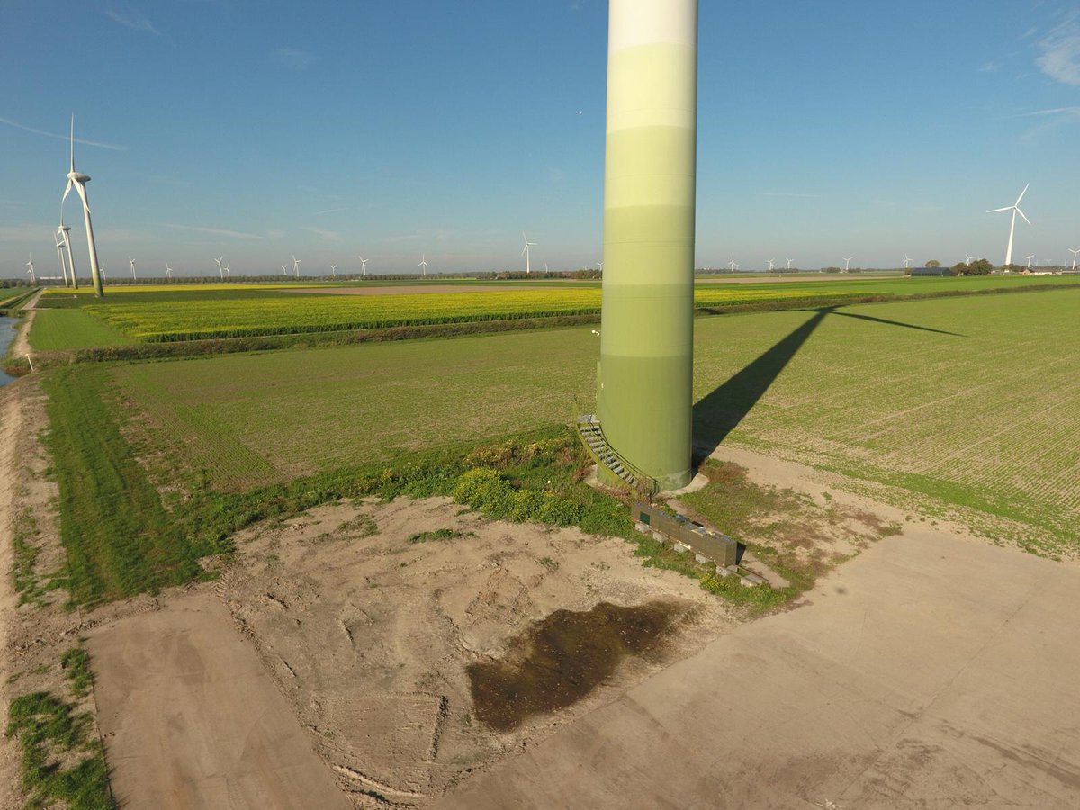 Deflevobij's tweet image. Een paar weken geleden hebben we een aantal volken bij de groenbemesters op Harrysfarm neergezet. Deze volken konden nog wel wat extra nectar gebruiken voor de winter. 
In de omgeving bloeit Gele Mosterd, Bladrammenas en Phacelia. 
De dames zijn er druk mee!