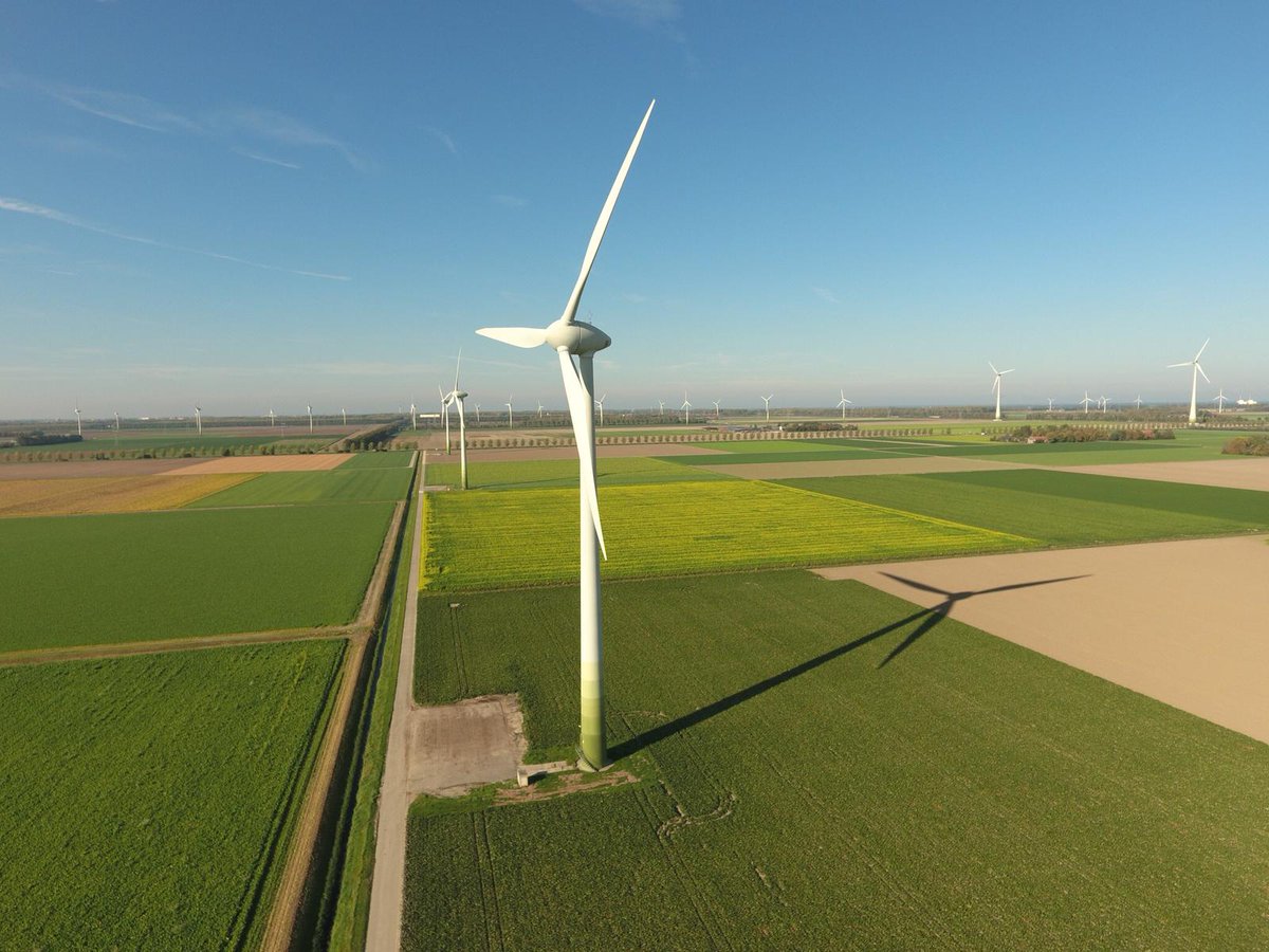 Deflevobij's tweet image. Een paar weken geleden hebben we een aantal volken bij de groenbemesters op Harrysfarm neergezet. Deze volken konden nog wel wat extra nectar gebruiken voor de winter. 
In de omgeving bloeit Gele Mosterd, Bladrammenas en Phacelia. 
De dames zijn er druk mee!