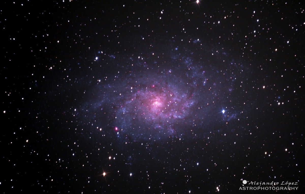 alxtrnk's tweet photo. Messier 33. Triangulum Galaxy.
32x300"
ISO1600 https://t.co/v2LrRktdgp