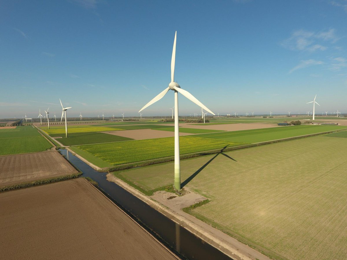 Deflevobij's tweet image. Een paar weken geleden hebben we een aantal volken bij de groenbemesters op Harrysfarm neergezet. Deze volken konden nog wel wat extra nectar gebruiken voor de winter. 
In de omgeving bloeit Gele Mosterd, Bladrammenas en Phacelia. 
De dames zijn er druk mee!