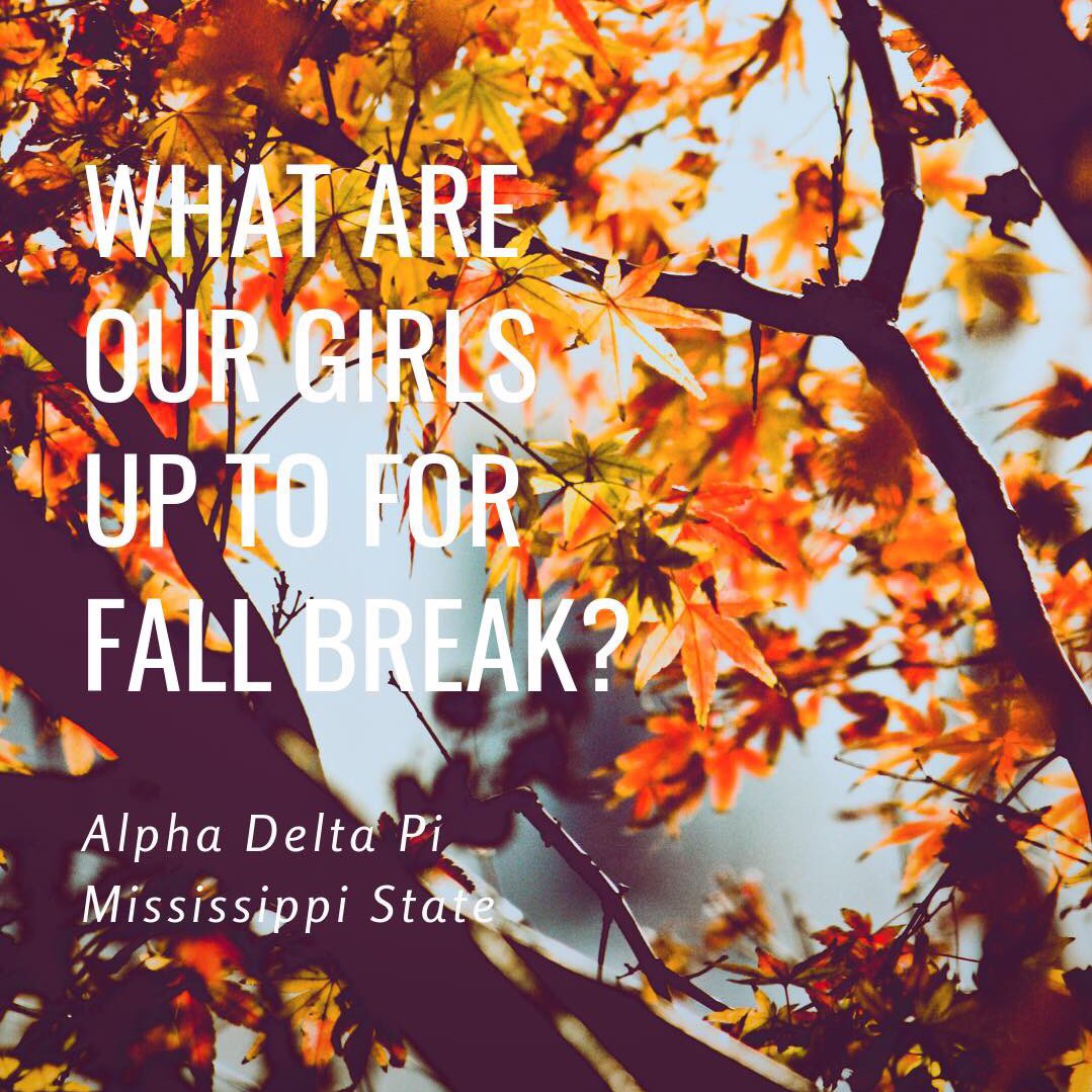 Check our Instagram story to see where our sisters have traveled over fall break! 🍂🍁 IG: msuadpi