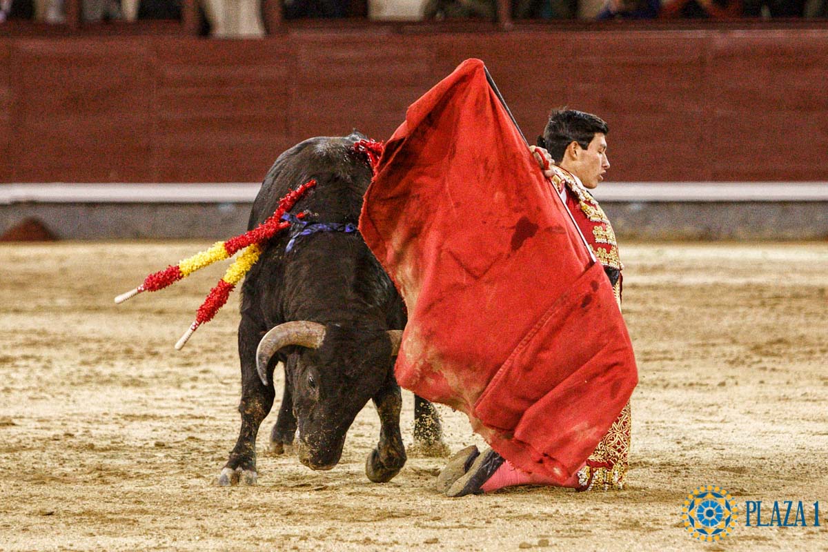 Plaza de Las Ventas tweet media