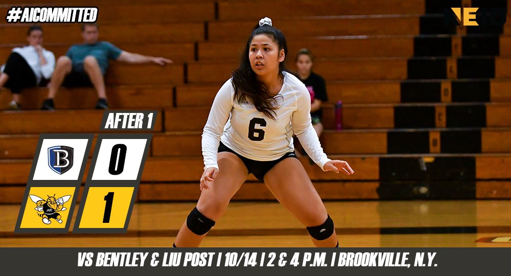 aicathletics's tweet photo. VB: #AICvb holds off Bentley in the first set 25-15.
#AICommitted https://t.co/F7TGMcnIrK