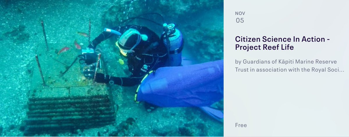 NZScienceLearn's tweet photo. Here's a good one for the calendar -Project Reeflife presentation w @curiousmindsnz
Ambassador Karen Pratt https://t.co/rTCvlKISSL
@royalsocietynz @MillerNicole_NZ @chrisecornwall #STEMeducation #scichatnz #CitSci #GuardiansKapiti @baseline_NZ @MADMarineNZ @islandbaymarine https://t.co/rTjlIdr8XU