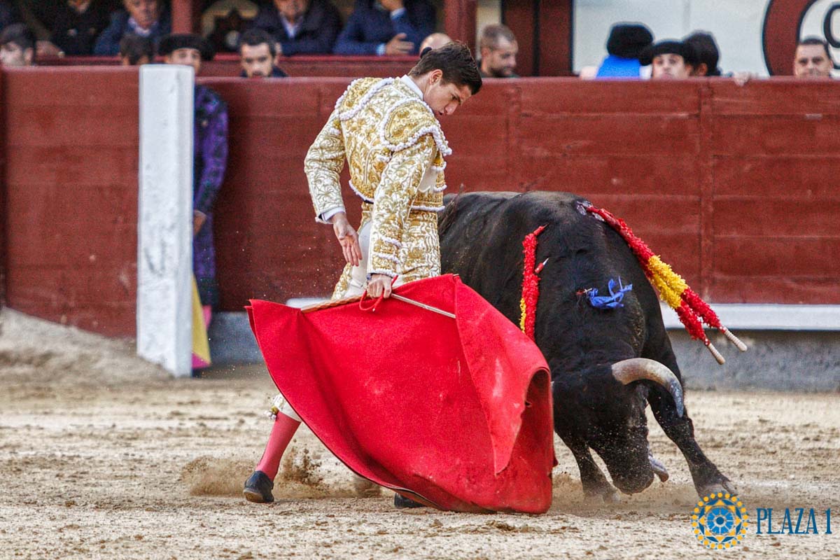 Plaza de Las Ventas tweet media