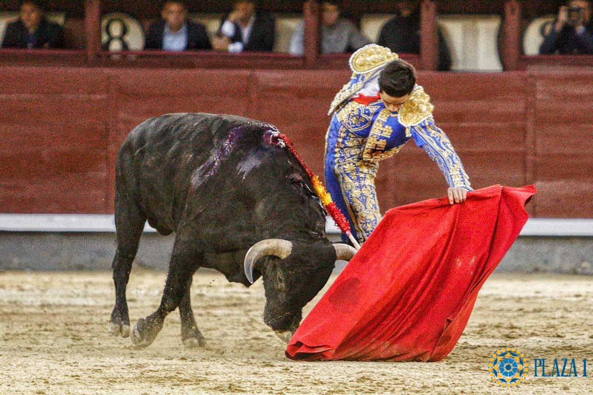 Plaza de Las Ventas tweet media