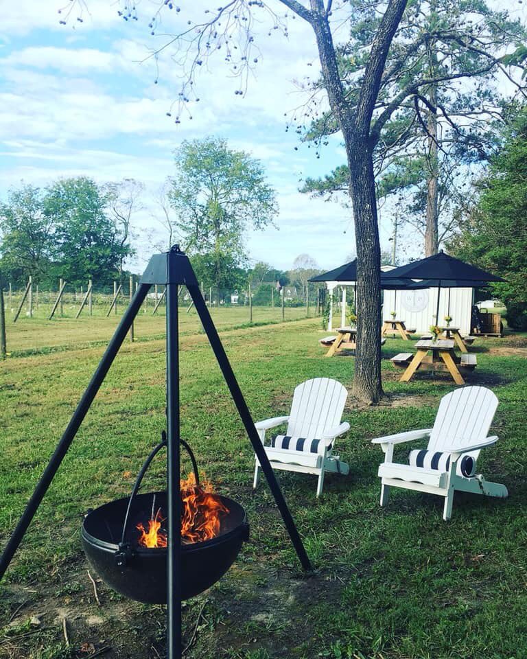 whiteplainsfarm's tweet photo. Our favorite physical therapists arriving in style for a group tasting !! https://t.co/bSFFrEzj6u