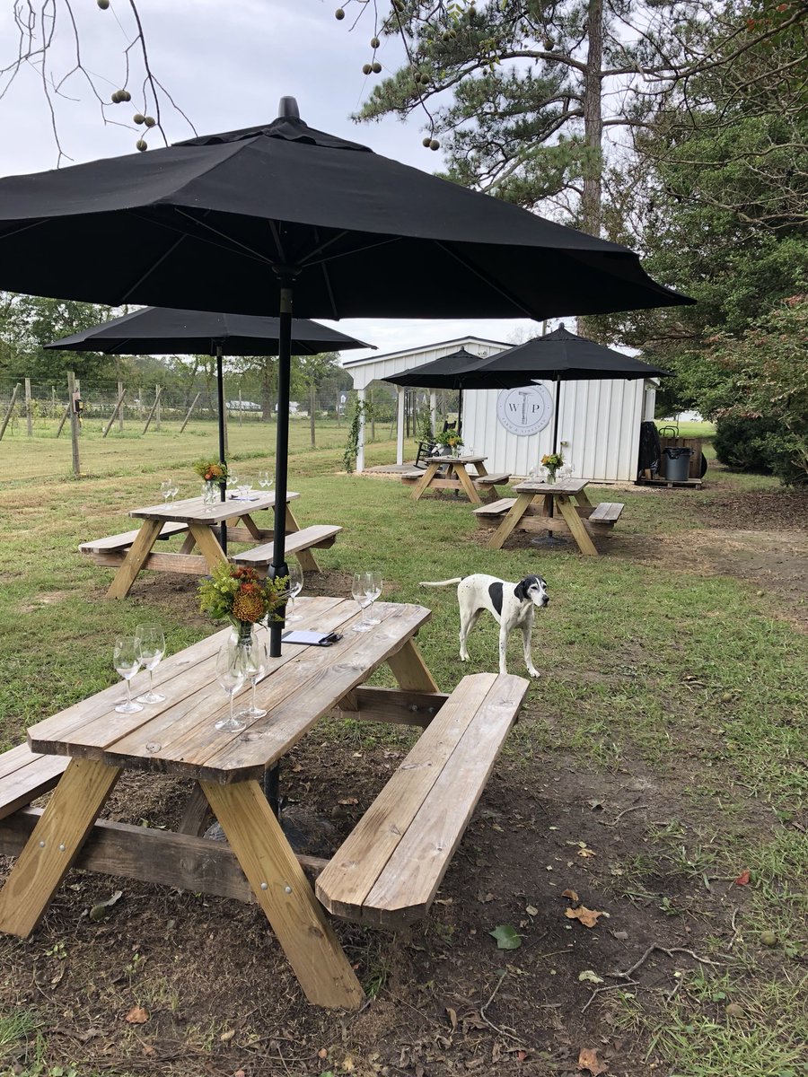 whiteplainsfarm's tweet photo. Our favorite physical therapists arriving in style for a group tasting !! https://t.co/bSFFrEzj6u