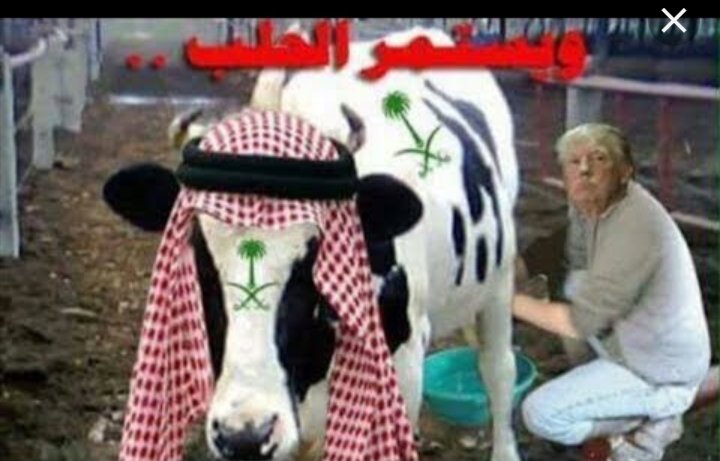 Memey51779367's tweet photo. @Tayyeebb @yassmineislammm ادفع وانت ساكت ياعبد ترامب 😂 https://t.co/38HLd59cSi