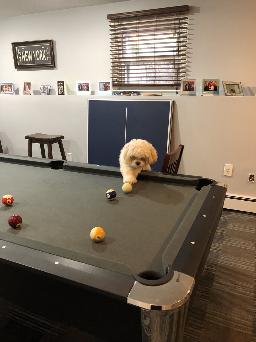 greatauntsarah's tweet photo. @CCCentralPetFan @ClayneCrawford https://t.co/qquTnqGNxT