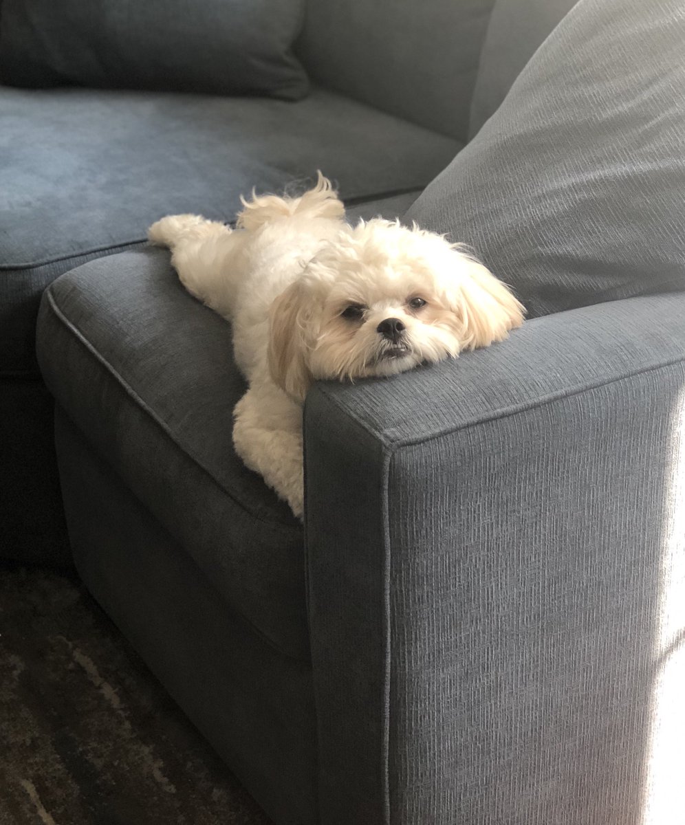 greatauntsarah's tweet photo. @CCCentralPetFan @ClayneCrawford https://t.co/qquTnqGNxT
