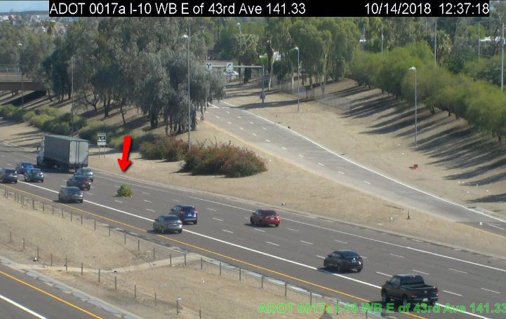 ArizonaDOT's tweet image. Look out for a tree or shrub that looks like it's growing in the pavement at I-10 EB at 43rd Ave. It's in the middle of the road. #phxtraffic #secureload