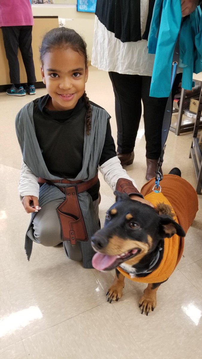 sedwardsknox's tweet photo. These two cuties won the @Petco Farragut costume contest! #proudgodmother #prouddogmom🎃 https://t.co/96vFPDveHW